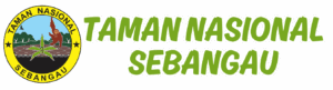 tnsebangau.org