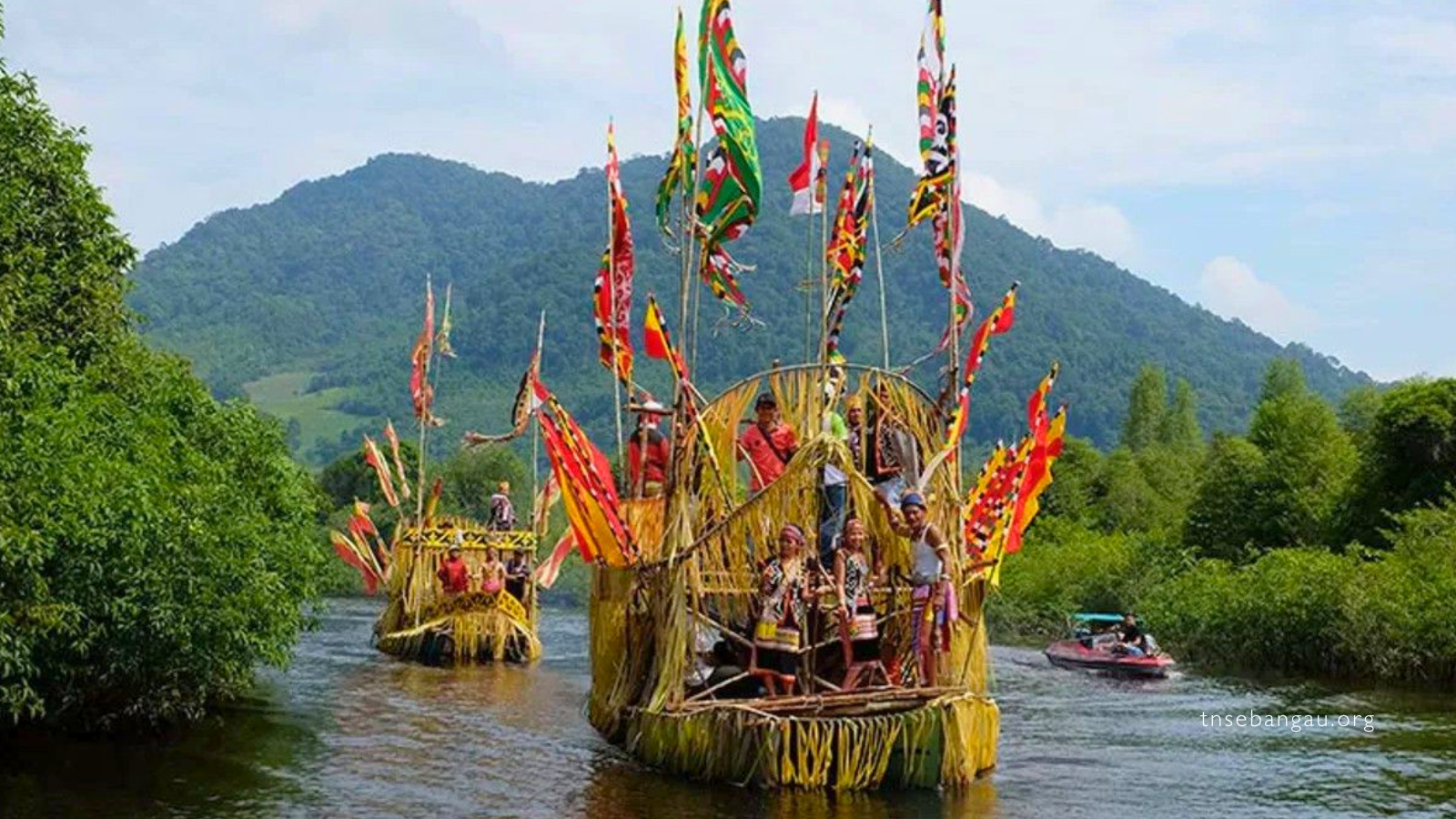 tnsebangau.org