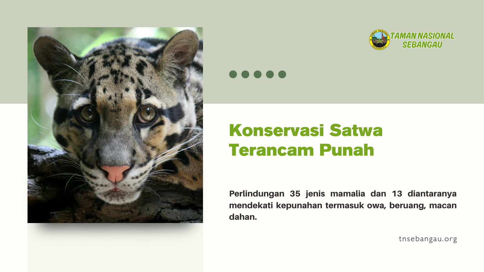 tnsebangau.org