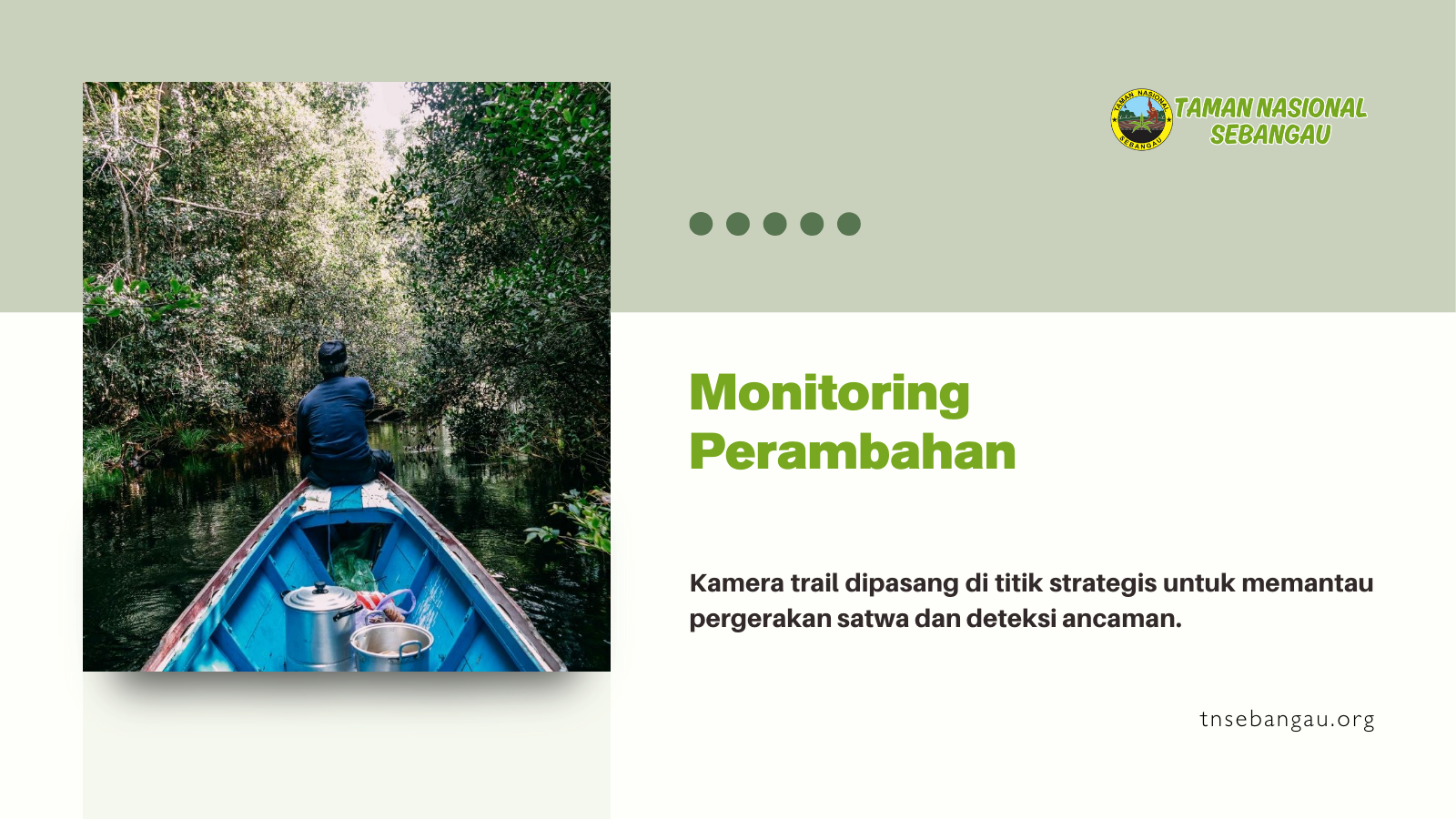 tnsebangau.org