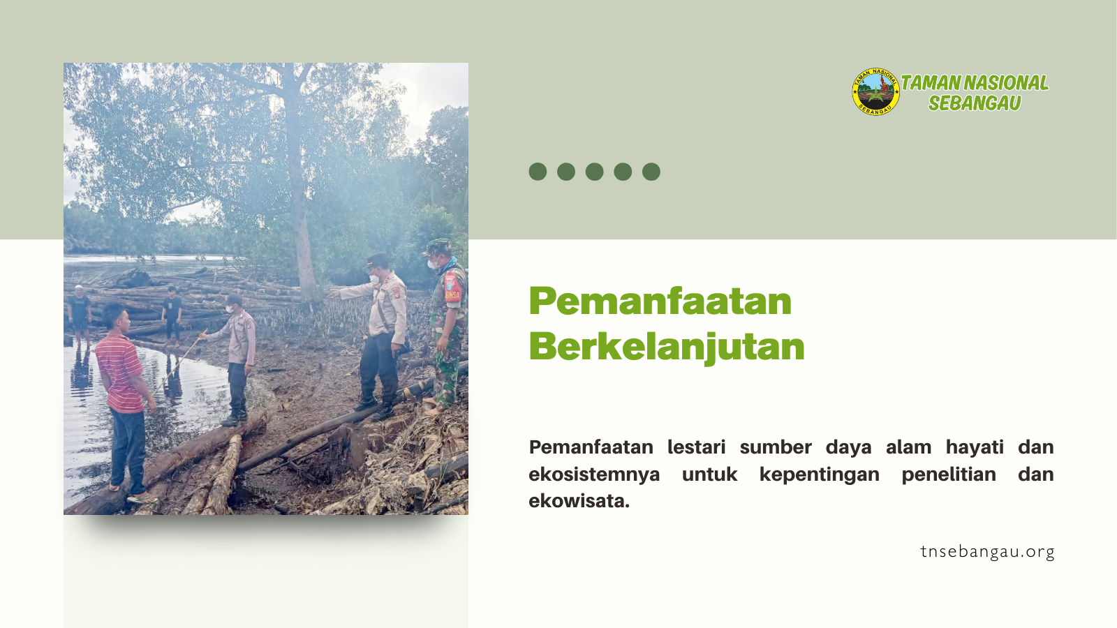 tnsebangau.org