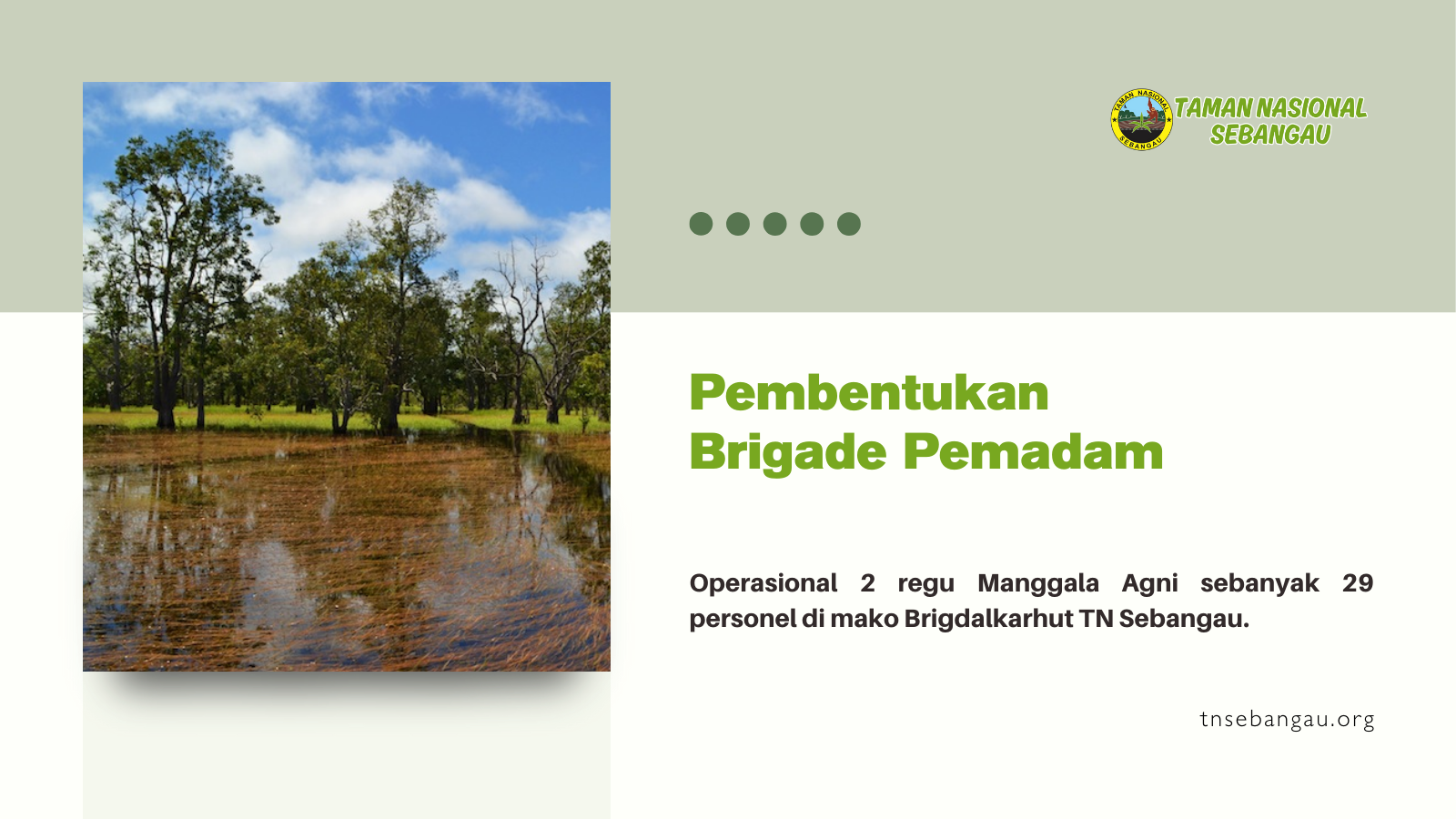 tnsebangau.org