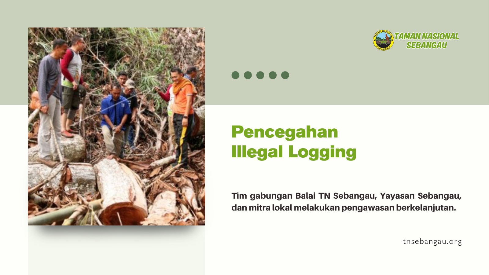tnsebangau.org