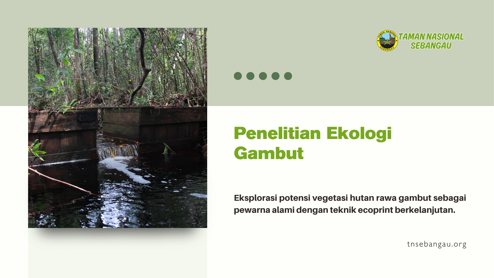 tnsebangau.org