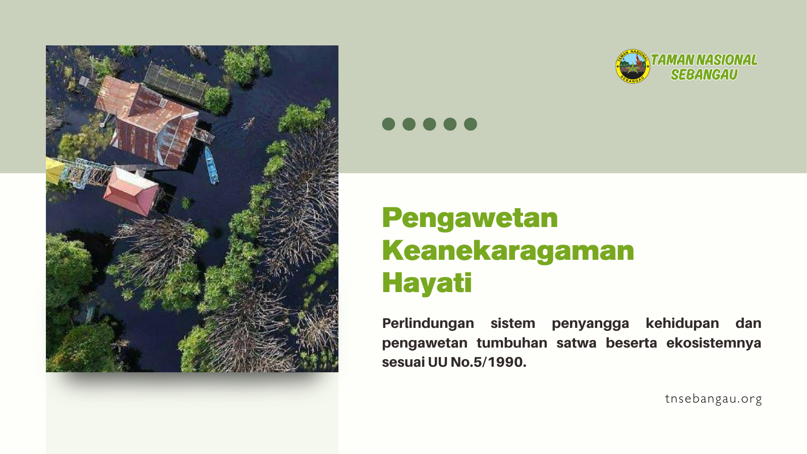 tnsebangau.org