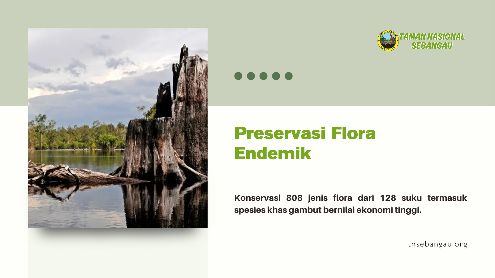 tnsebangau.org
