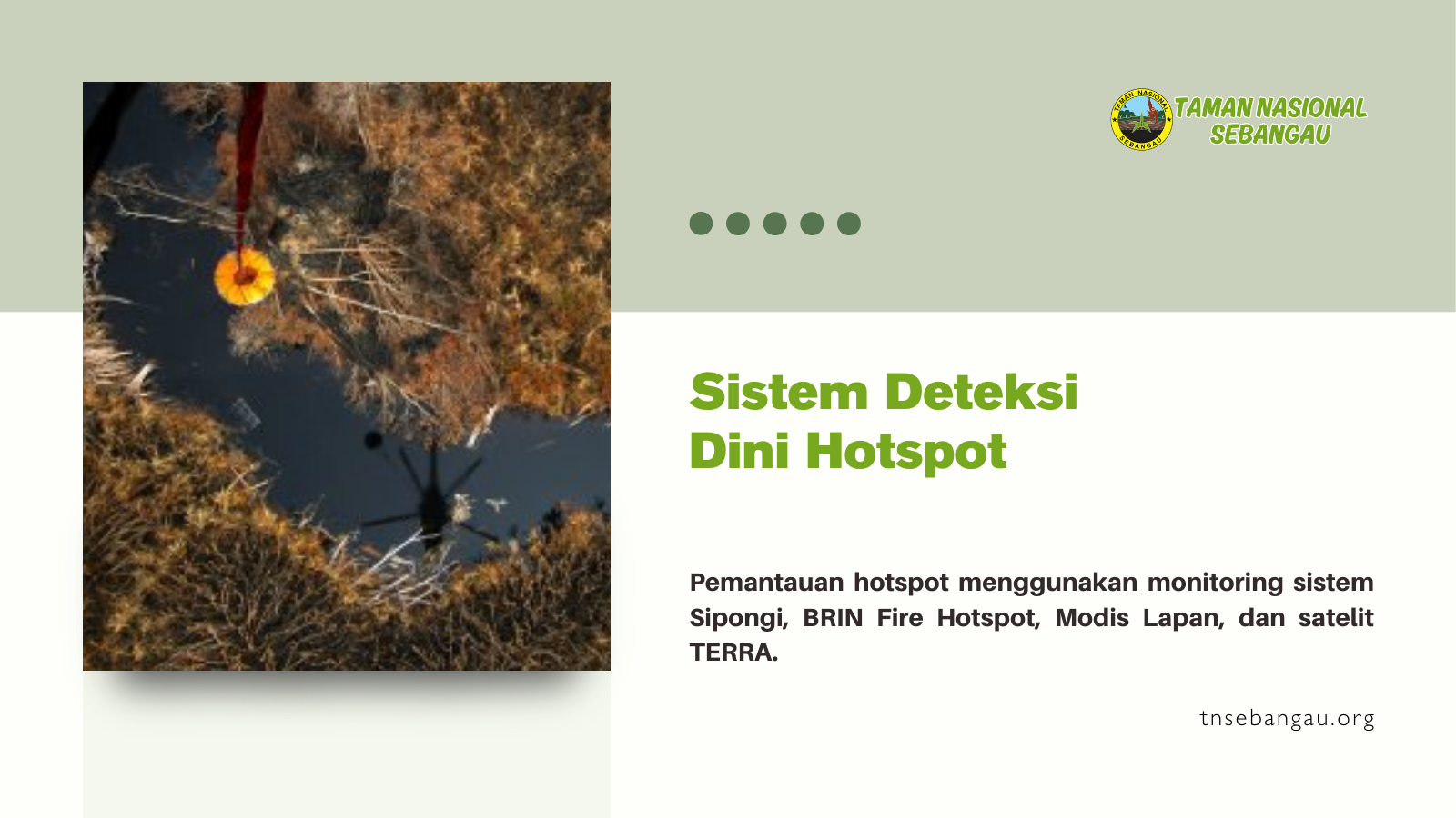 tnsebangau.org