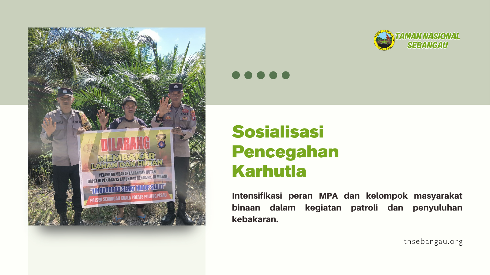 tnsebangau.org