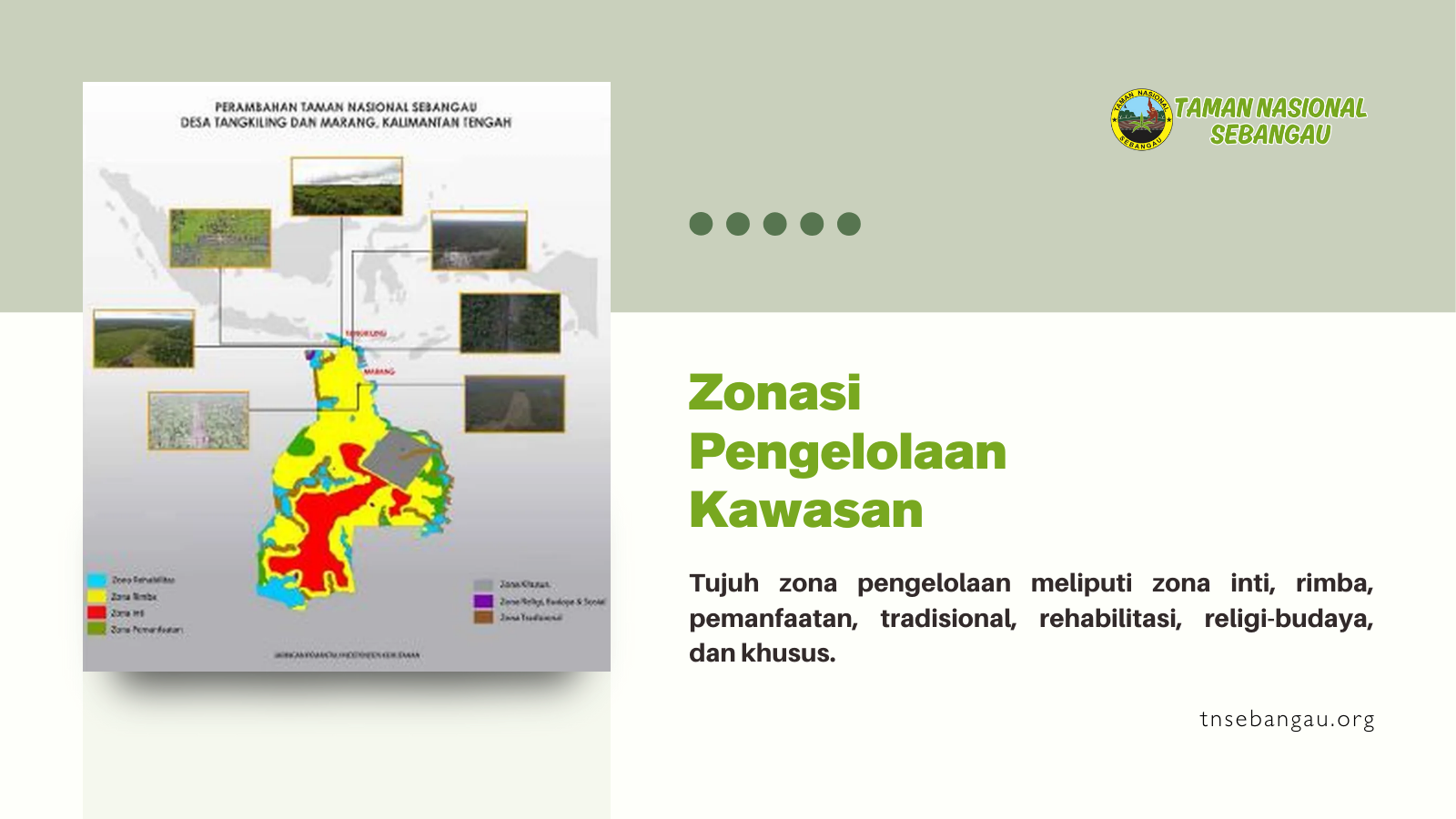 tnsebangau.org