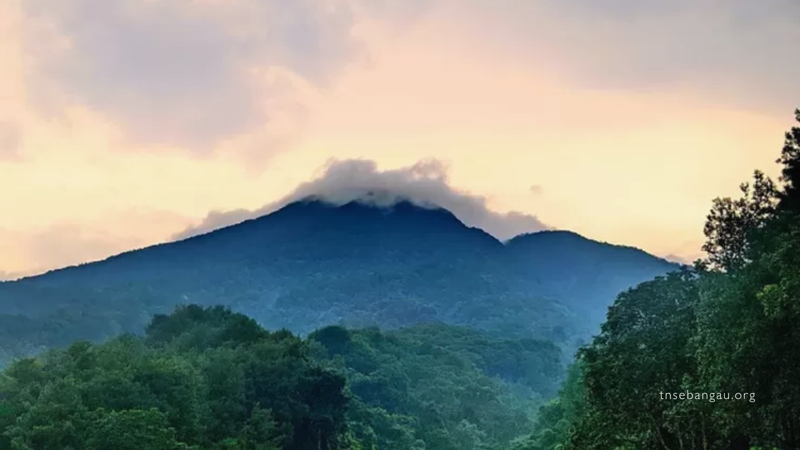 tnsebangau.org