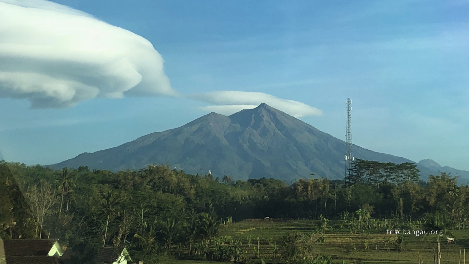 tnsebangau.org