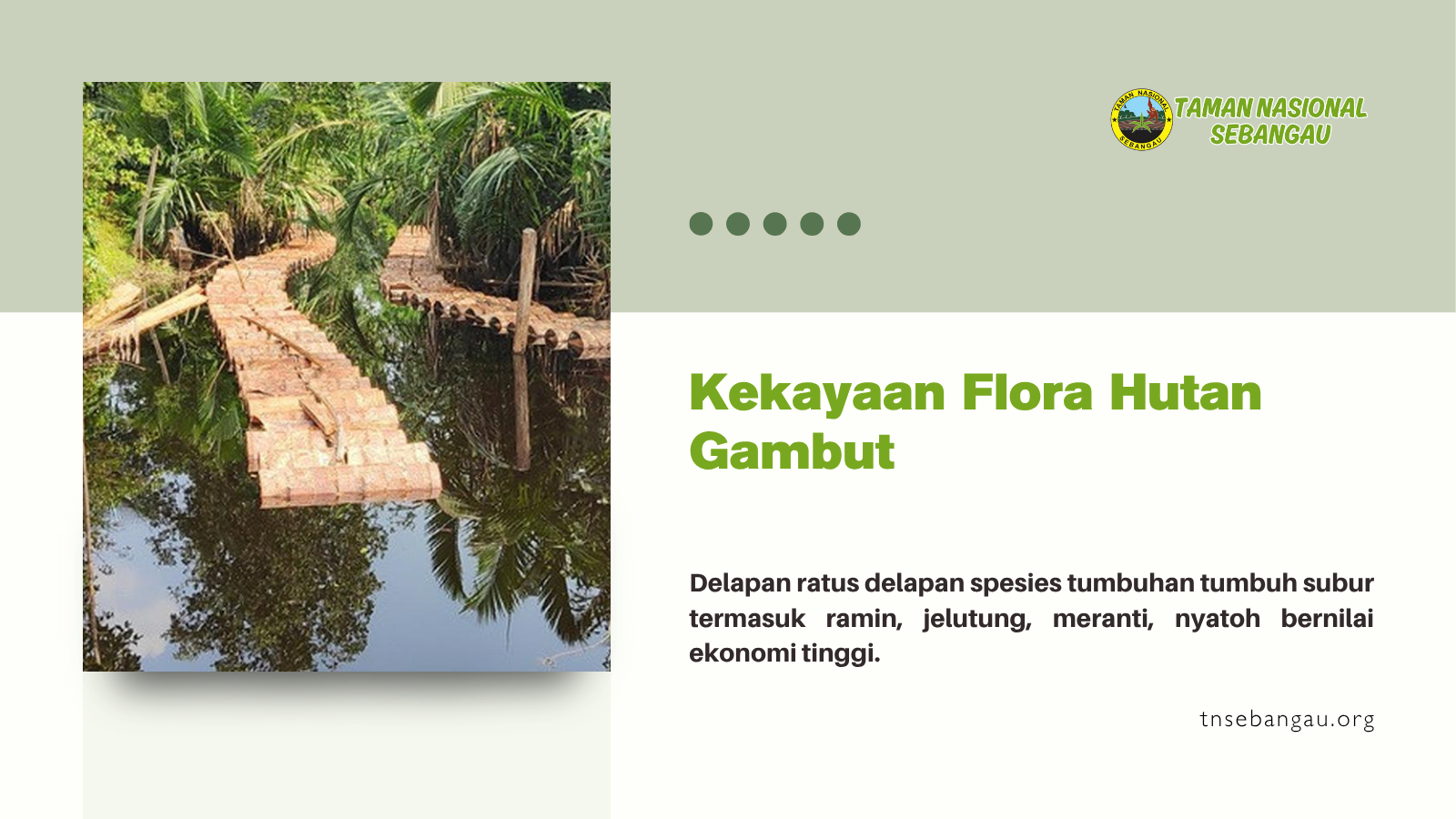 tnsebangau.org