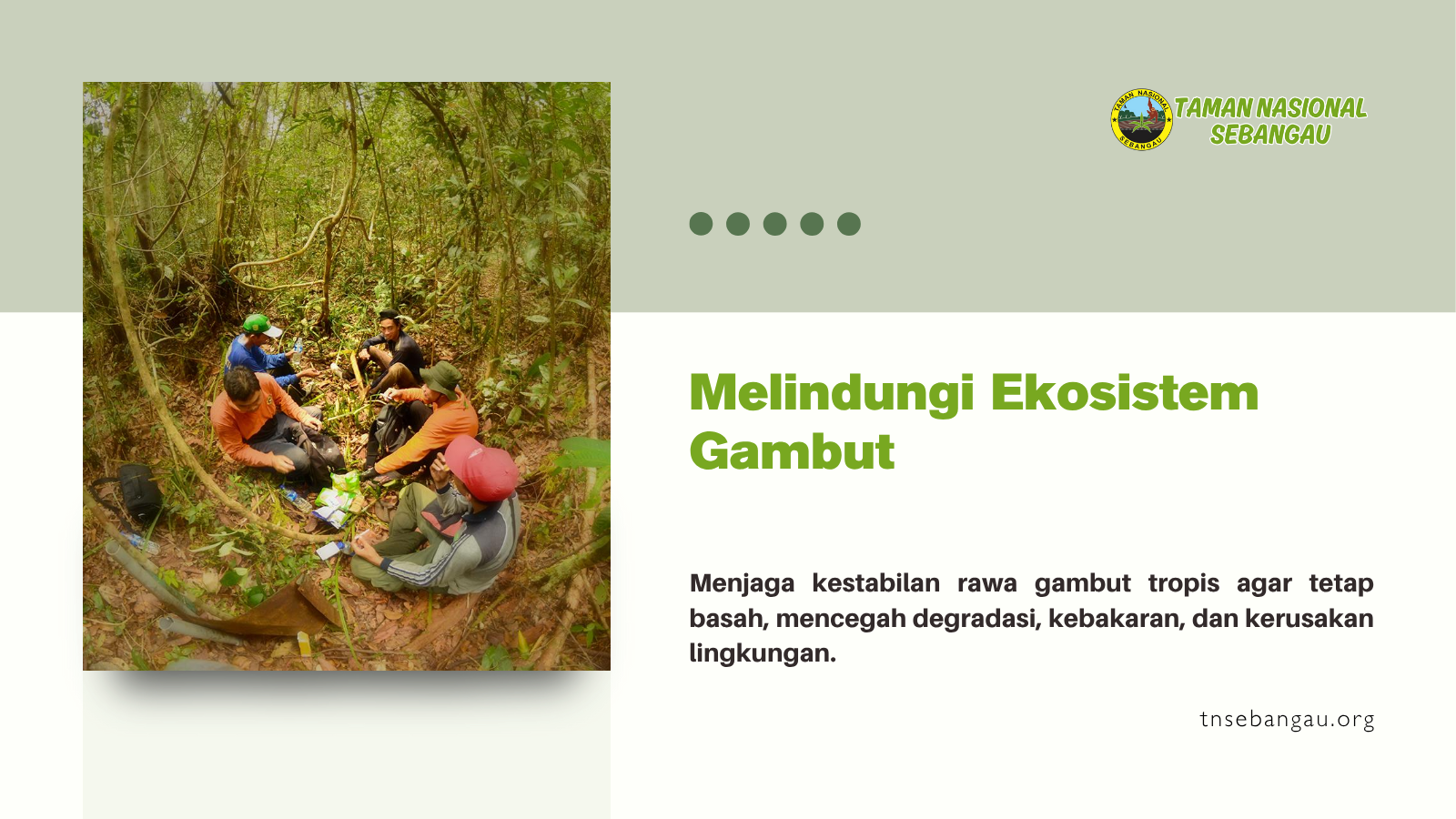 tnsebangau.org