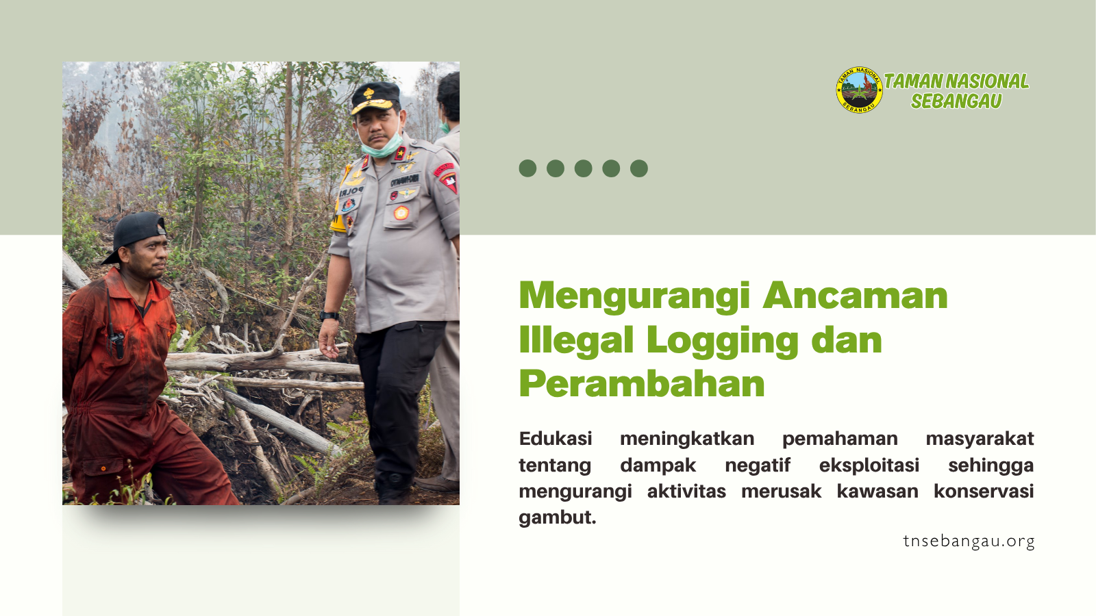 tnsebangau.org