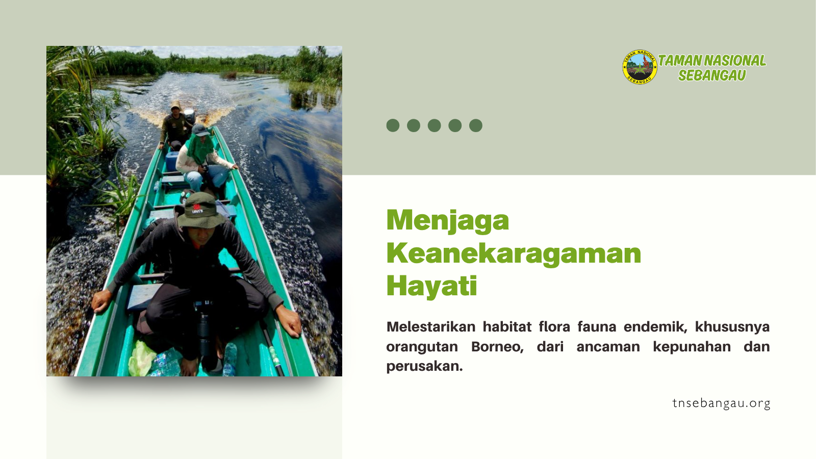 tnsebangau.org
