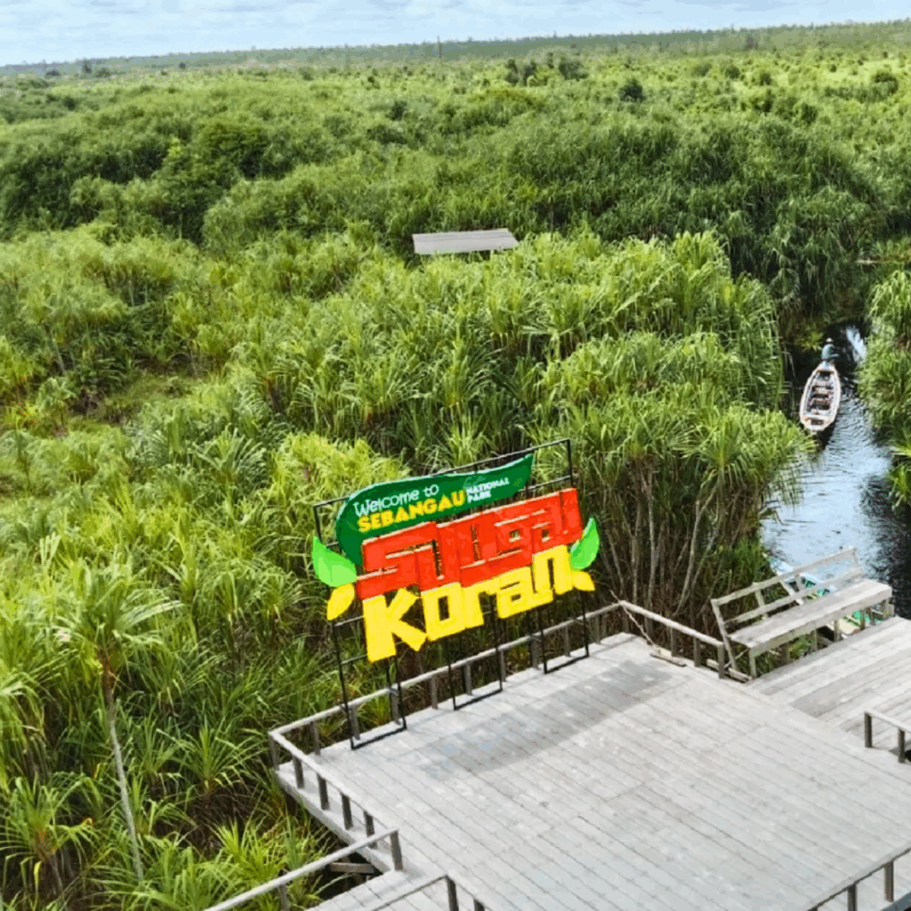 Wisata Alam Taman Nasional Sebangau