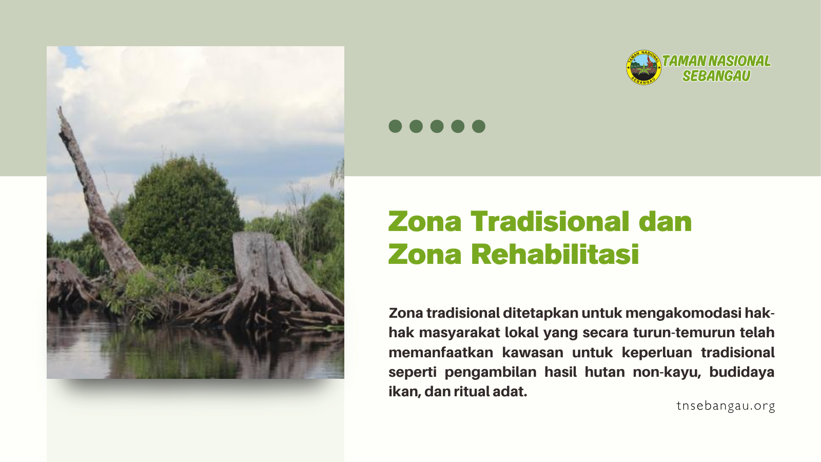 Zona Tradisional dan Zona Rehabilitasi