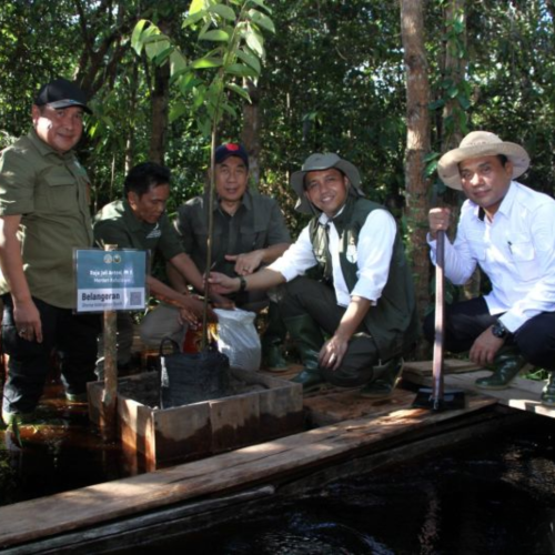 Bersatu untuk Sebangau