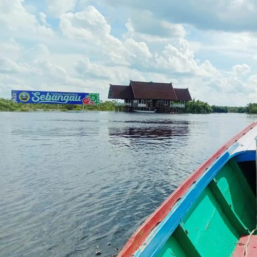 Karakteristik Khusus Taman Nasional Sebangau