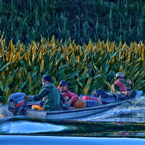 Visi Konservasi Taman Nasional Sebangau_